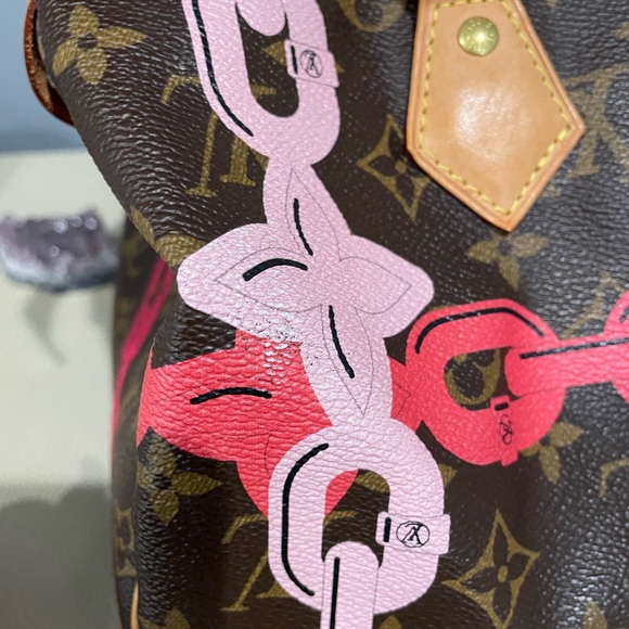 Louis Vuitton Speedy Limited Edition - Picture 7 of 14